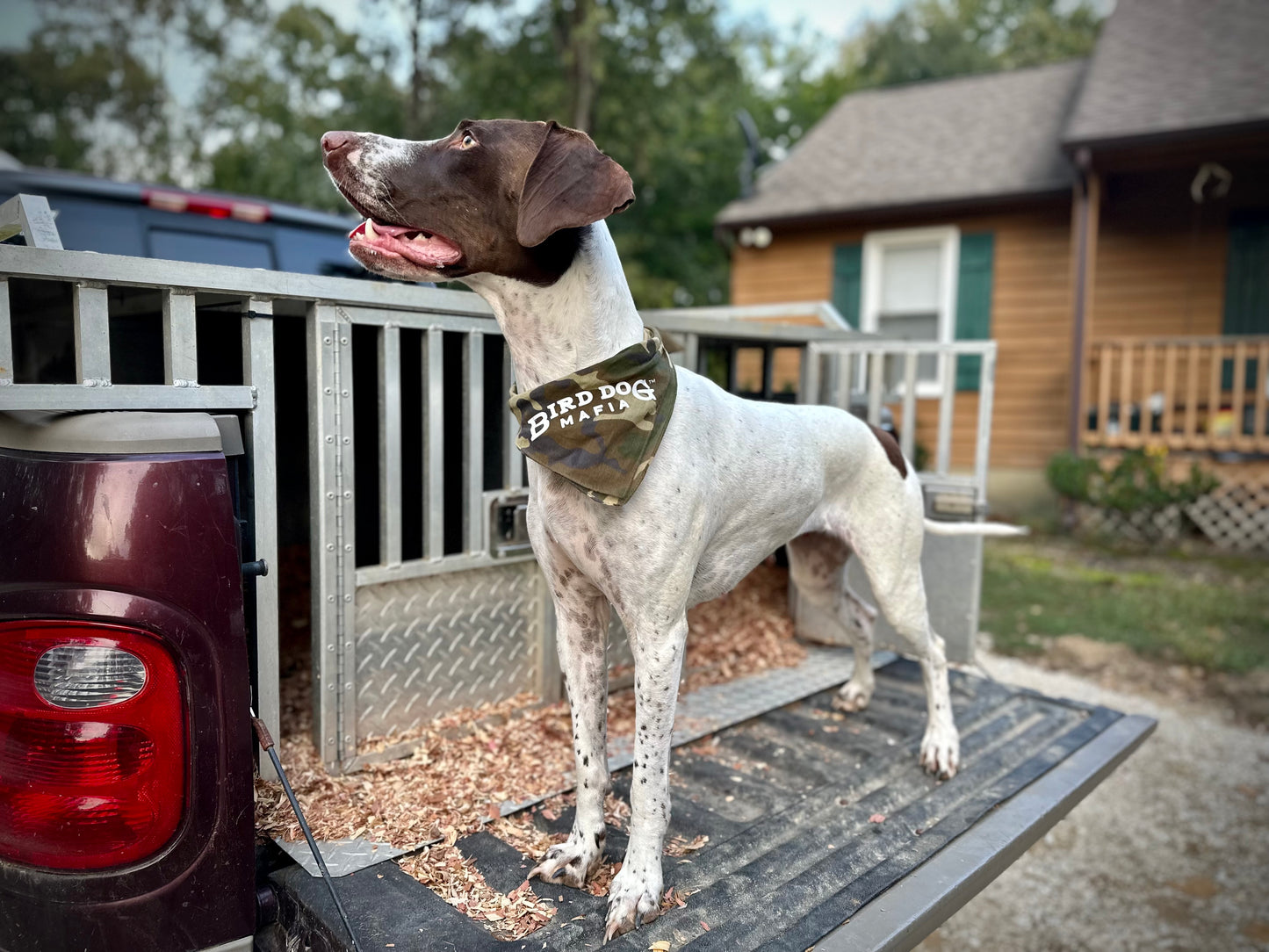 Camo Bandanas