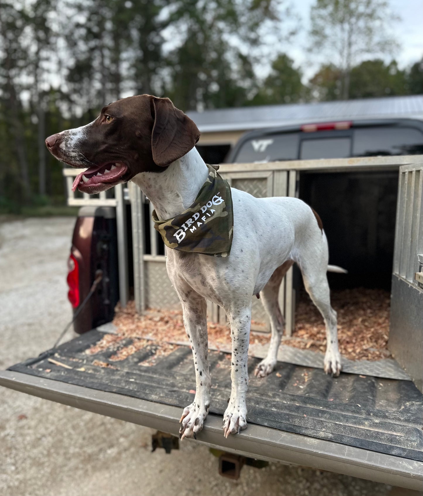 Camo Bandanas