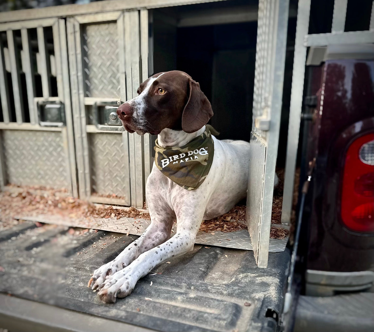 Camo Bandanas