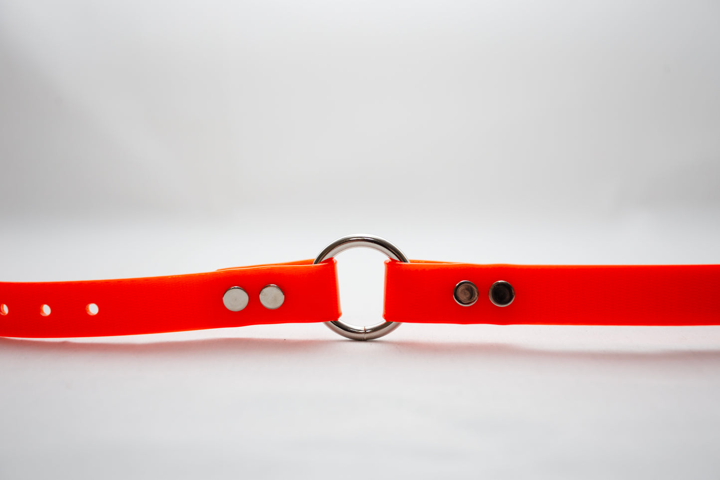 Dayglow Collar With Engraved Tag