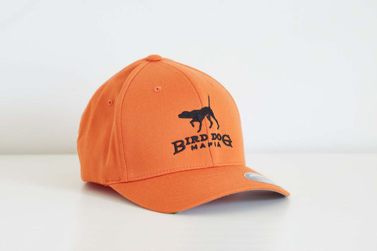 Fitted Orange Hat