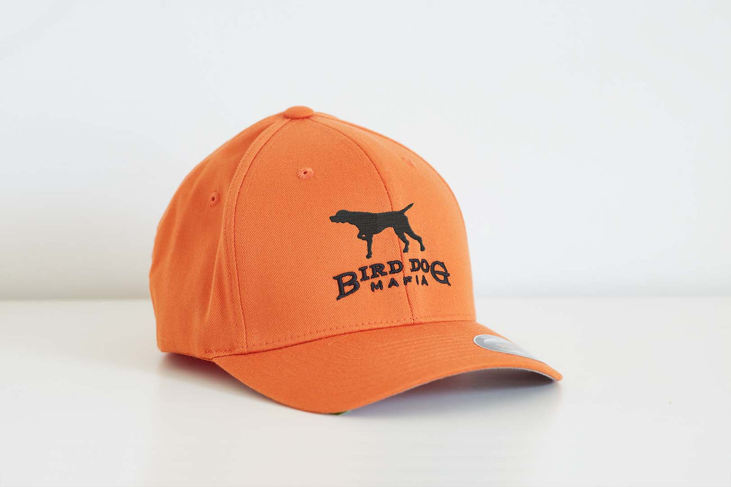 Fitted Orange Hat