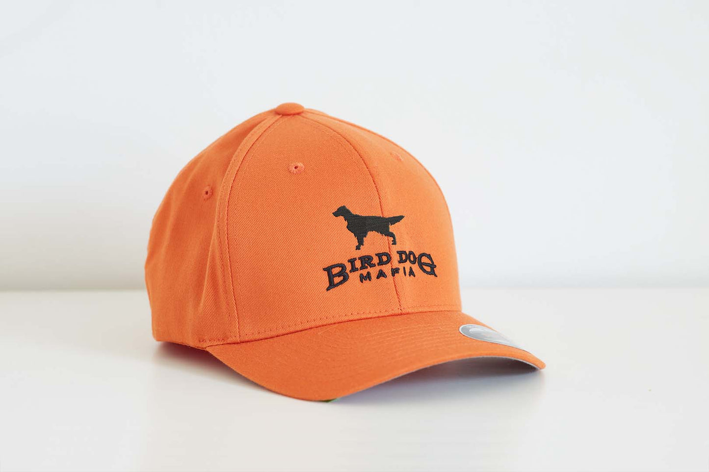Fitted Orange Hat