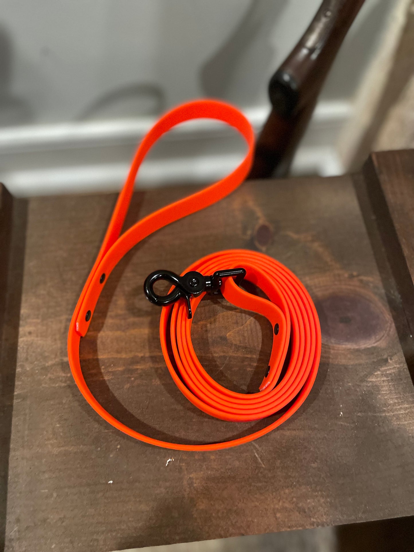 6ft Chew Proof Leash