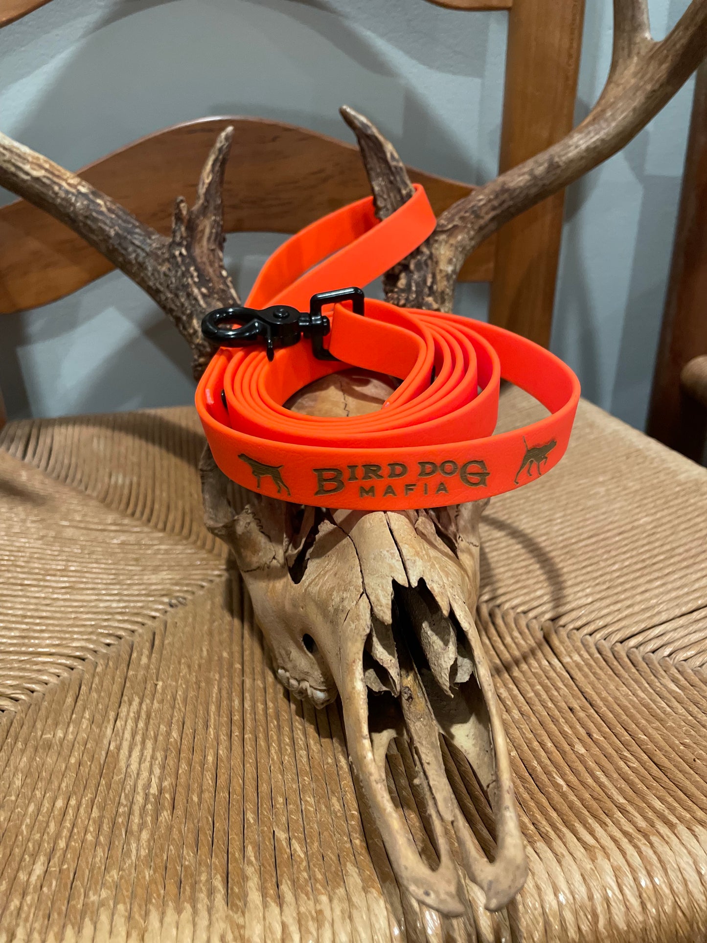 6ft Chew Proof Leash