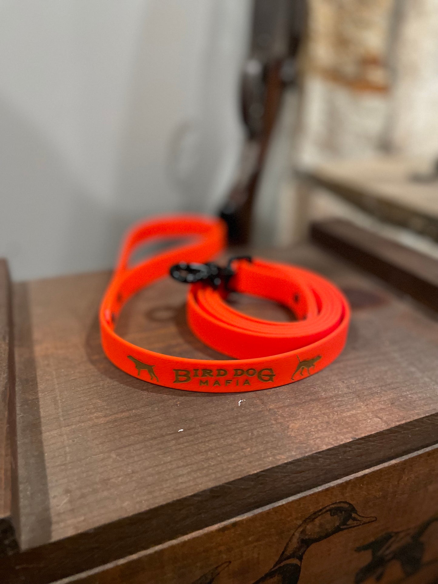6ft Chew Proof Leash