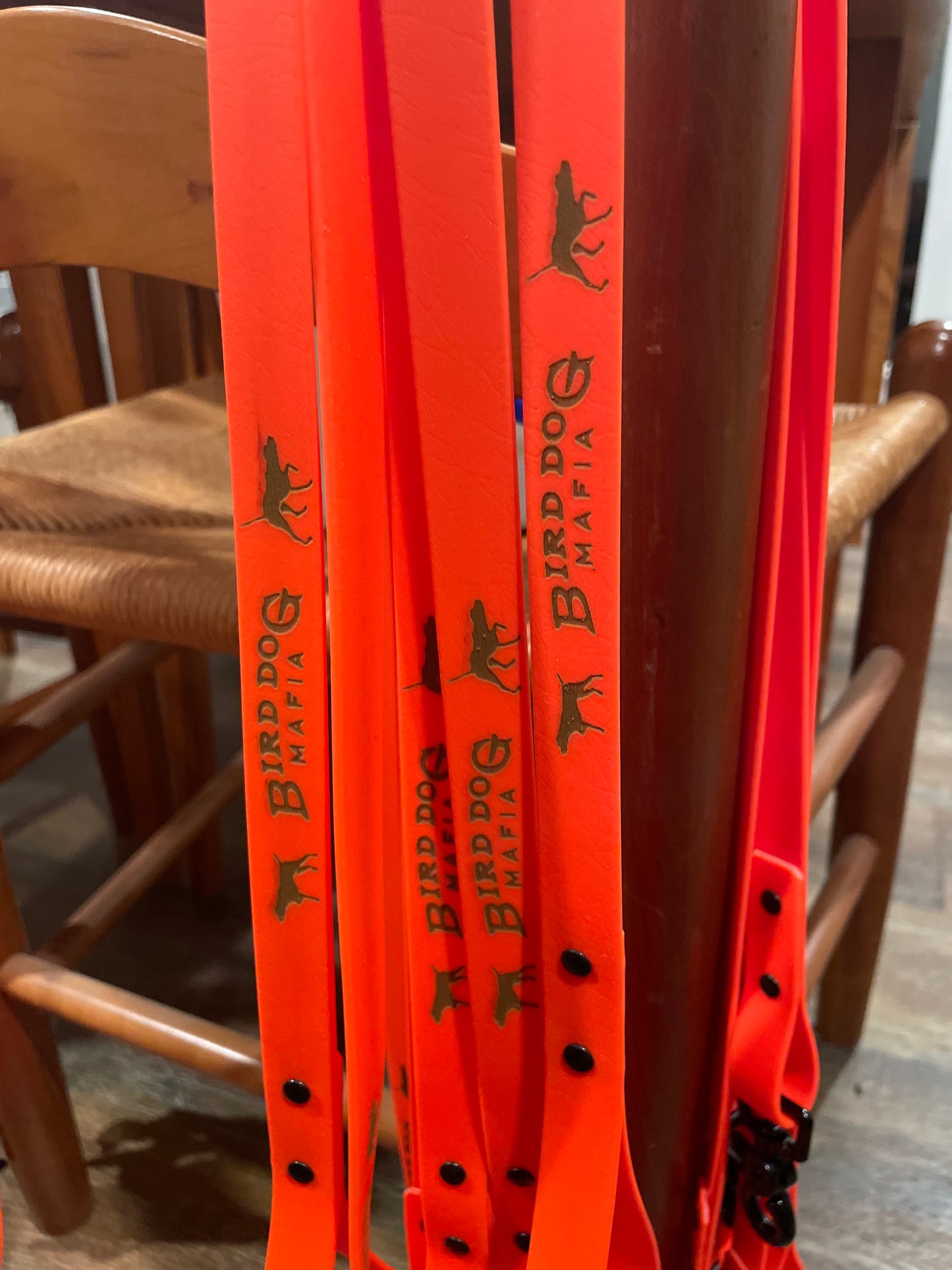 6ft Chew Proof Leash