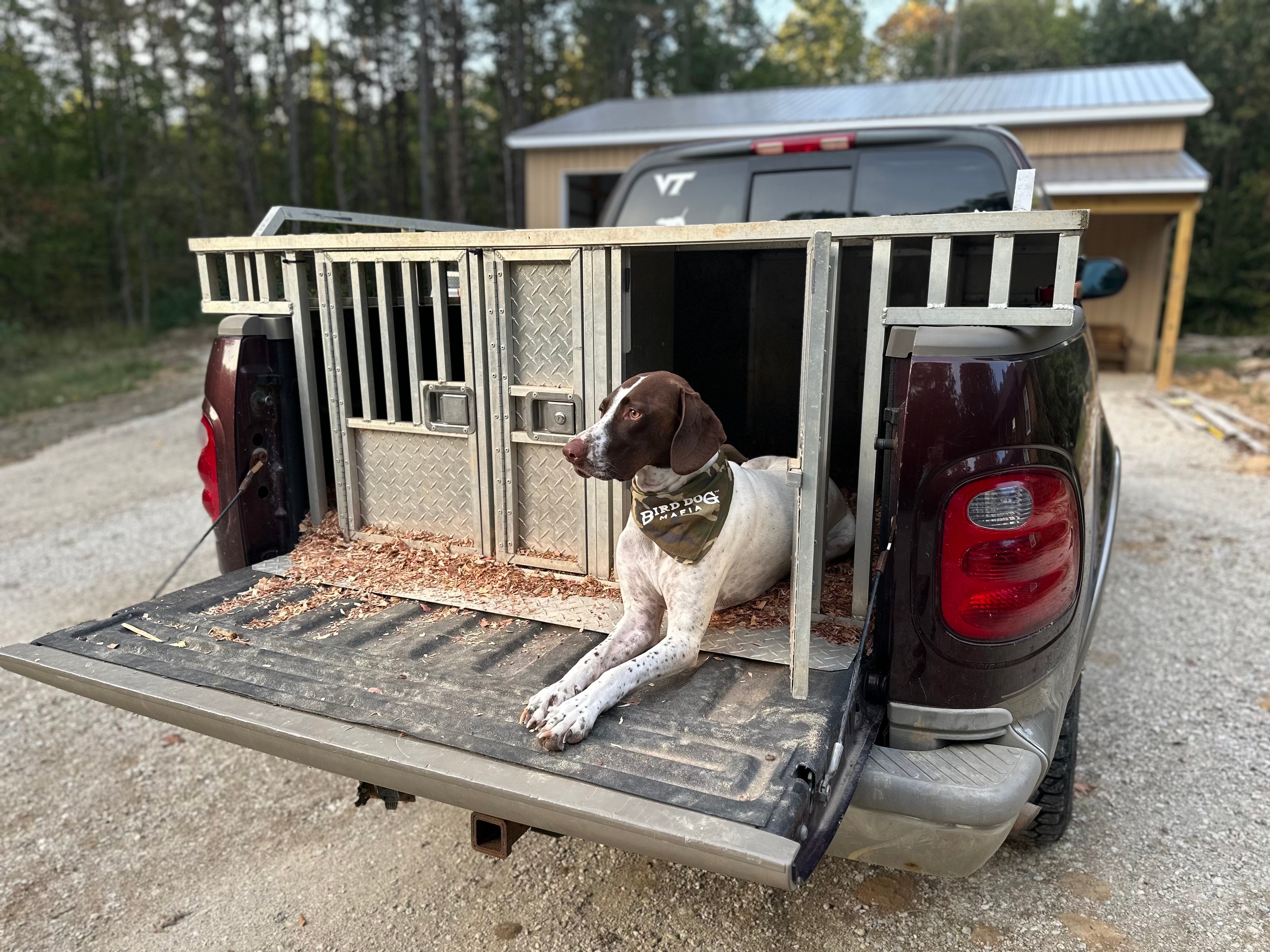 Bird shop dog box